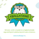 kisállatjogsi