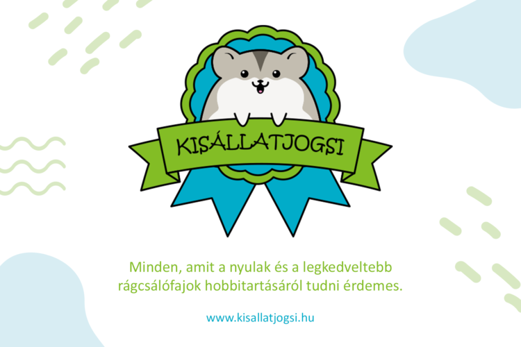 kisállatjogsi